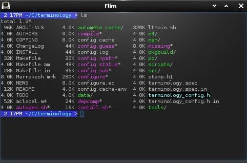 terminology_terminal