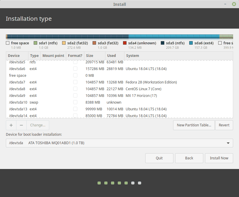 Linux Mint Partition Setup During Installation