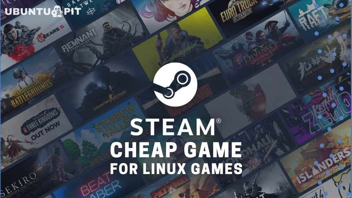 The 10 Best Cheap Steam Games For Linux Gamers