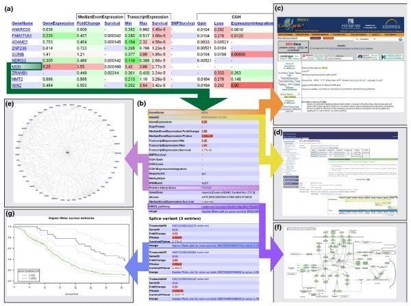 anduril bioinformatics tool