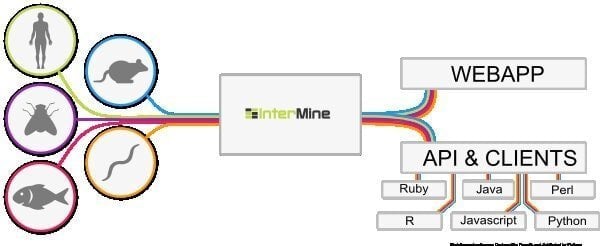 intermine