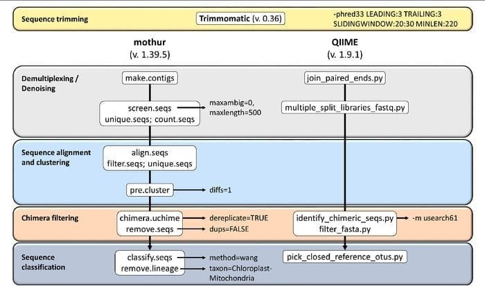 mothur bioinformatics tool