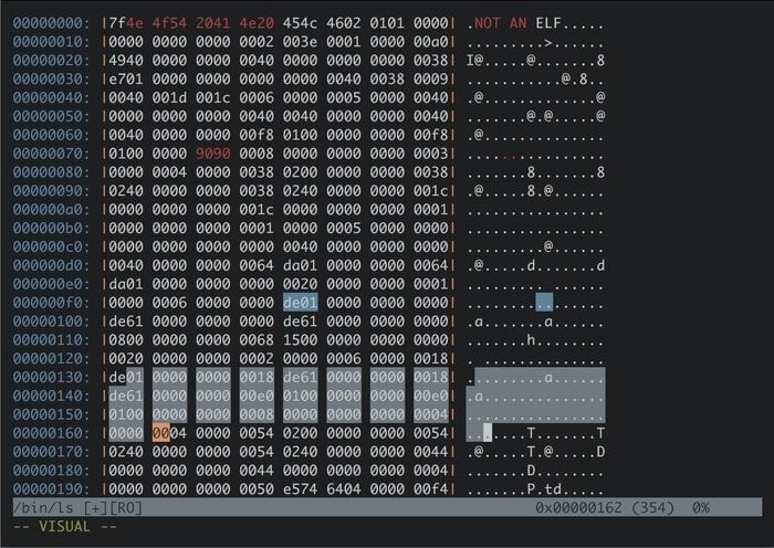 linux binary editor