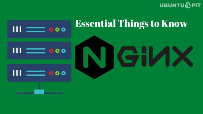 Essential Things to Know about Nginx Web Server