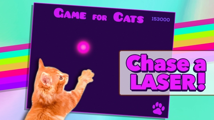 Game for Cat
