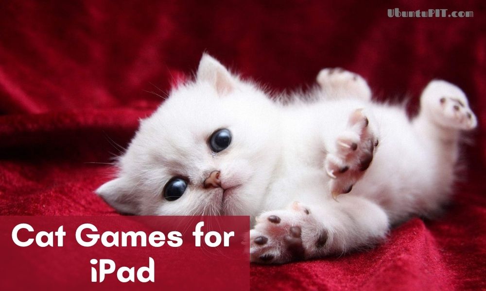 a cat games that is for free
