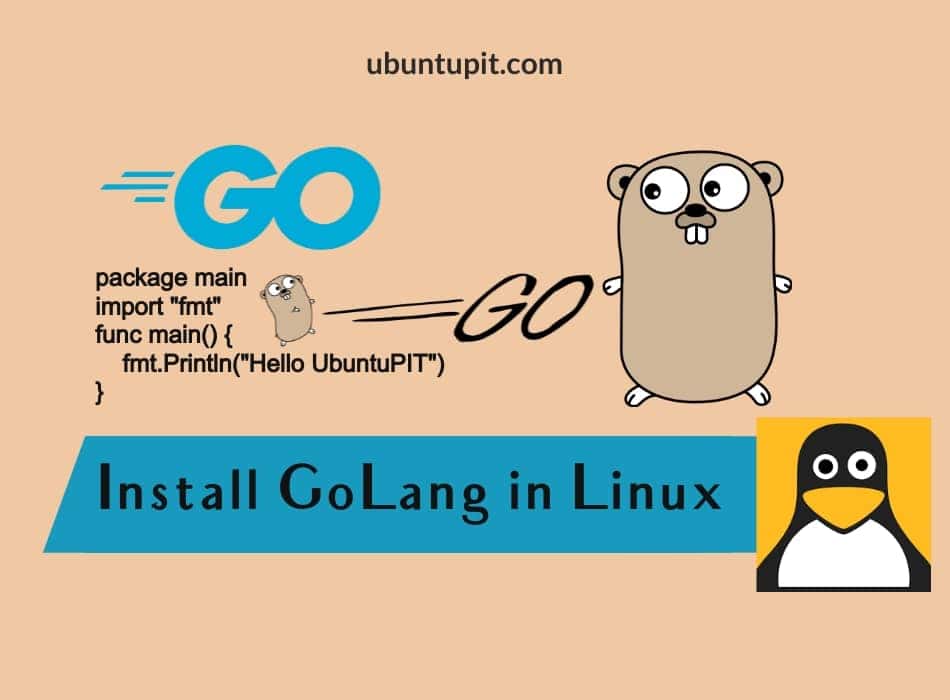 How To Install GoLang Go Programming Language In Linux