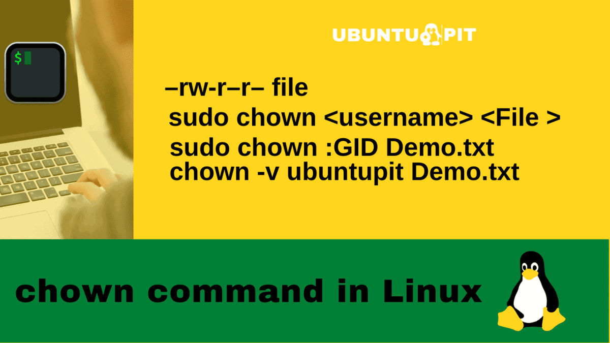 chown command in linux